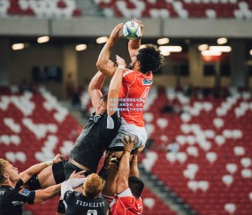 【壹号娱乐入口】吉尔贝托盛赞新星埃斯特旺，天赋异禀，未来世界最佳的有力竞争者